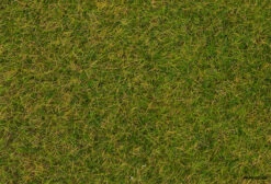 170206 Faller Streufasern Wildgras, FrĂŒhsom