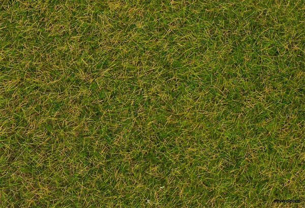 170206 Faller Streufasern Wildgras, Frühsom 3 170206 Faller Streufasern Wildgras, Frühsom