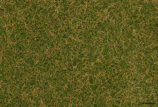 170259 Faller Streufasern Wildgras, Braungr 3 170259 Faller Streufasern Wildgras, Braungr