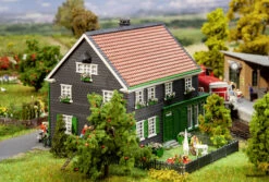 191785 Faller Geburtshaus Wilhelm Conrad Rö